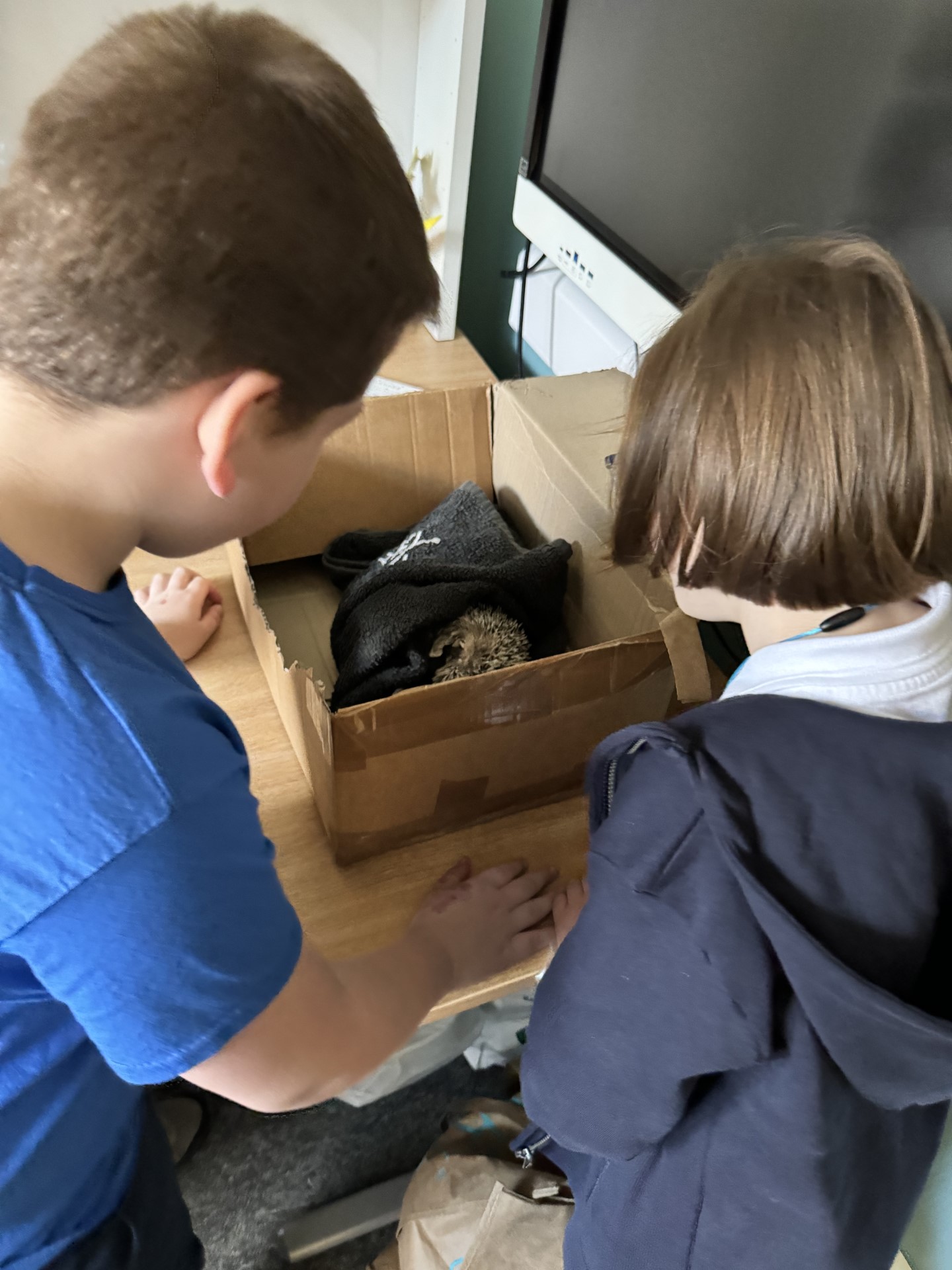 Newsletter Autumn 2 Week 3